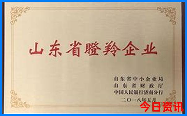 夏季适合去哪些城市旅游